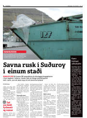 Síða 6
