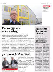 Síða 8