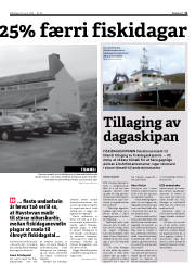 Síða 11