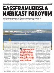 Síða 21