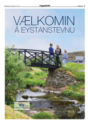 Síða 3