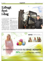 Síða 4