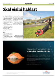 Síða 13