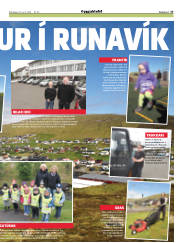 Síða 17