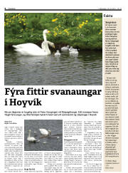 Síða 6