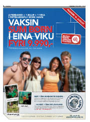 Síða 8