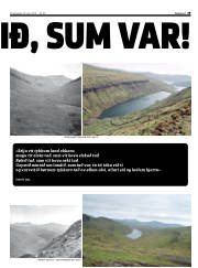 Síða 29