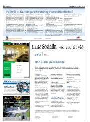Síða 30