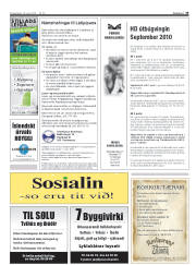 Síða 33
