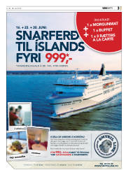 Síða 3