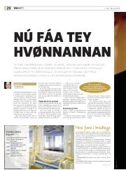 Síða 20