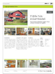 Síða 29