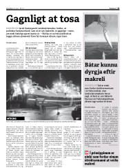 Síða 11