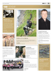 Síða 31