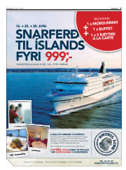 Síða 3