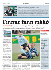 Síða 17