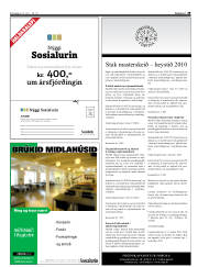 Síða 29