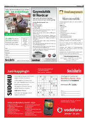 Síða 31