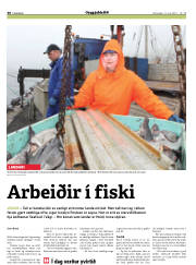 Síða 30