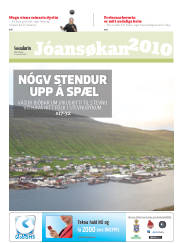 Síða 17