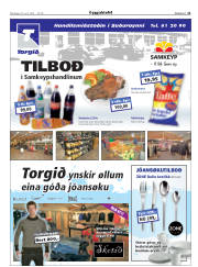 Síða 21