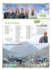 Síða 45