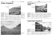 Síða 16
