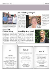 Síða 17