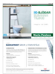 Síða 21