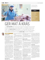 Síða 14