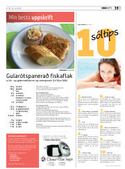 Síða 19