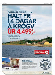 Síða 8