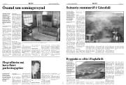 Síða 4