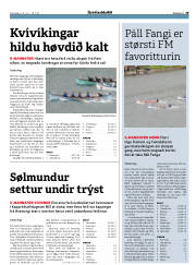 Síða 29