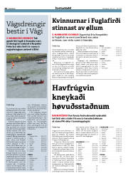 Síða 30