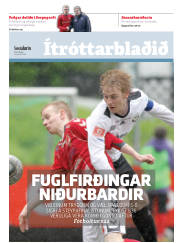 Síða 19