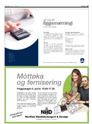 Síða 43