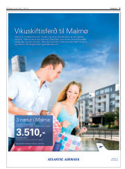 Síða 3