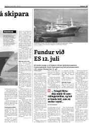 Síða 11