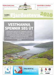 Síða 17