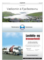 Síða 19