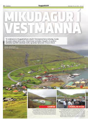 Síða 22