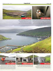 Síða 23