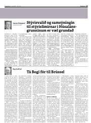 Síða 13