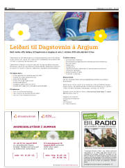 Síða 28