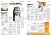Síða 2