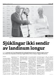 Síða 33