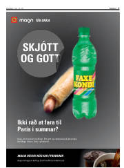 Síða 3