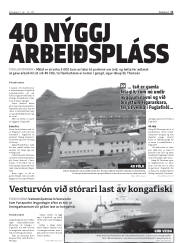 Síða 11