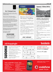 Síða 31